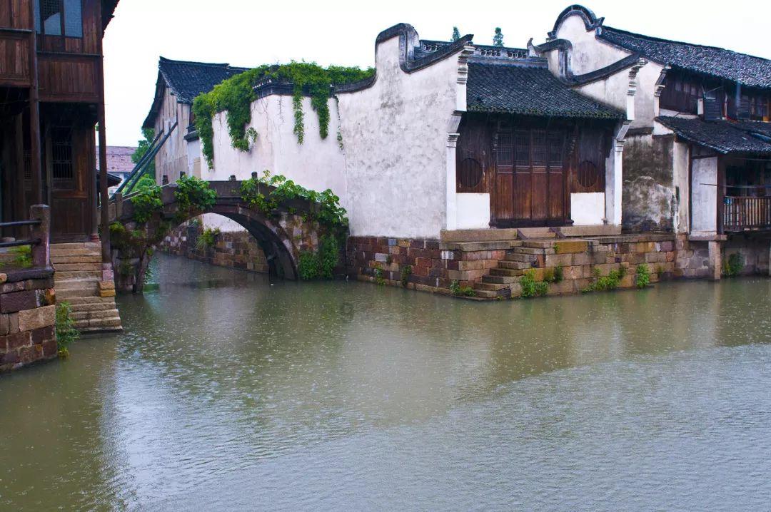 春雨直播app
